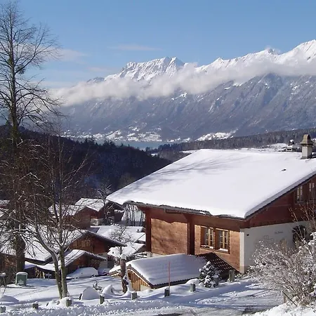 Chalet Mack Brienzwiler Extérieur photo