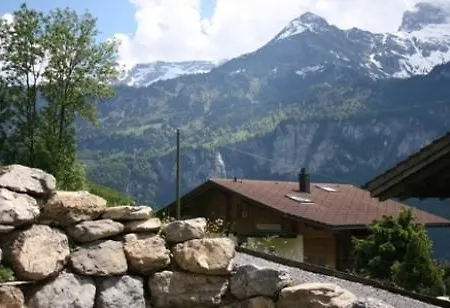 Chalet Mack Brienzwiler Extérieur photo